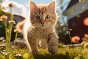 ai généré espiègle chaton fonctionnement à travers le pelouse sur une ensoleillé été journée. curieuse actif animal de compagnie en jouant en plein air photo