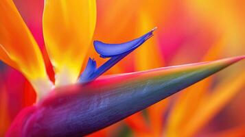 ai généré détaillé fermer dévoile le exquis beauté de une strelitzia fleur dans plein floraison, ai généré. photo