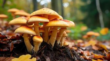 ai généré champignons florissant ensemble sur le sol, une Naturel merveille de fongique croissance, ai généré. photo