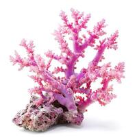 ai généré coloré Naturel rose corail isolé sur blanc Contexte pour thème marin conceptions, ai généré. photo