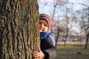 peu garçon est cache derrière une gros arbre. une enfant coups d'oeil en dehors de derrière une arbre tronc. photo