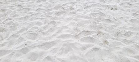 image de blanc le sable plage sur le côte de Brésil sur une ensoleillé photo