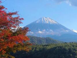 Naturel la photographie dans Japon, monter Fuji Montagne avec neige culminer, Lac et rouge arbre photo