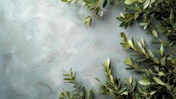 ai généré sauvage olive branches sur une gris Contexte grand fond zone photo