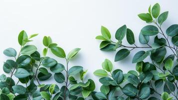 ai généré croustillant, émeraude feuilles sur minimaliste branches vitrine le luxuriance de le saison photo