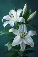 ai généré parfait blanc fleurs de lys repos sur émeraude feuilles photo