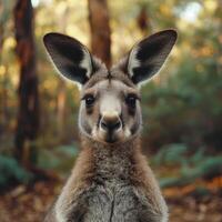 ai généré curieuse kangourou dans Naturel habitat photo