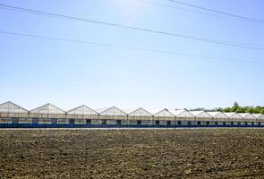 polycarbonate serres. serre complexe. serres pour croissance des légumes en dessous de le fermé sol photo