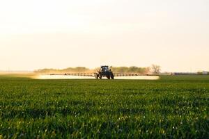 tracteur avec le Aidez-moi de une pulvérisateur Vaporisateurs liquide les engrais sur Jeune blé dans le champ. photo