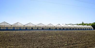 polycarbonate serres. serre complexe. serres pour croissance des légumes en dessous de le fermé sol photo