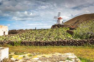 tropical cactus jardin dans guatiza village, lanzarote, canari îles, Espagne photo