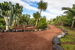 jardin dans puero de la croix, Ténérife, canari îles, Espagne photo