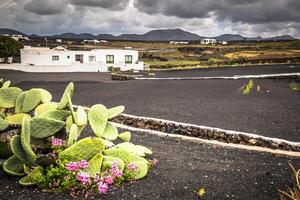 traditionnel blanc Maisons avec vert les fenêtres et des arbres sont typique sur le célèbre Espagnol île photo