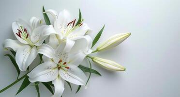 ai généré Frais blanc fleurs de lys sur une blanc Contexte photo