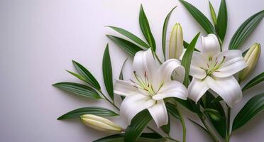 ai généré blanc fleurs de lys sont sur blanc contre une blanc Contexte photo