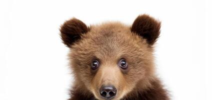 ai généré une fermer de une Jeune marron ours visage innocence et curiosité. photo