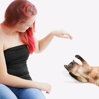 femme jouant avec un chat photo