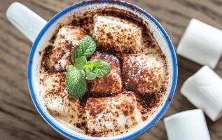 tasse de cacao avec guimauves et cacao poudre photo