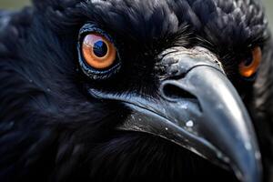 ai généré corbeau rêverie une captivant fermer de une majestueux corbeau. photo