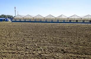 polycarbonate serres. serre complexe. serres pour croissance des légumes en dessous de le fermé sol photo