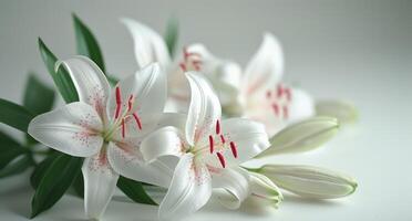 ai généré Frais blanc fleurs de lys sur une blanc Contexte photo