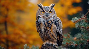 ai généré le hibou est perché sur une branche de pin des arbres photo