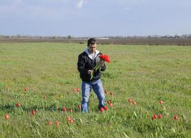 une homme dans une veste sur une champ de tulipes. clairière avec tulipes photo