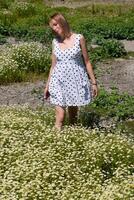 une femme dans une blanc robe avec polka points est sur une clairière avec marguerites. épanouissement marguerites photo