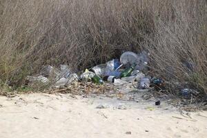 ordures en dessous de le des buissons dans la nature. des ordures la gauche par touristes photo