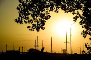 industriel plante dans le Contexte de le coucher du soleil et peuplier branches. Jaune le coucher du soleil. photo