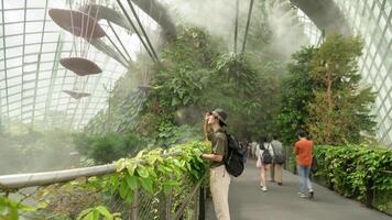 une homme dans nuage forêt dôme environnement à jardins dans Singapour photo