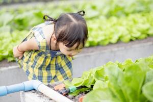 mignonne peu Jardin d'enfants enfant croissance Frais salade dans printemps une peu garçon est content avec jardinage. les enfants Aidez-moi avec légume jardinage dans le maison. photo