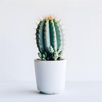 ai généré cactus dans une minimaliste plante d'appartement pot photo