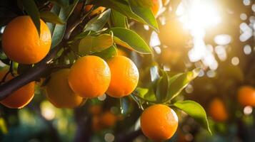 ai généré des oranges sur arbre avec vert feuilles photo