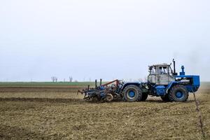 luxuriant et desserrer le sol sur le champ avant semis. le tracteur charrues une champ avec une charrue photo