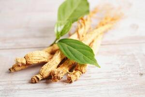 ginseng les racines et vert feuille, biologique la nature en bonne santé aliments. photo