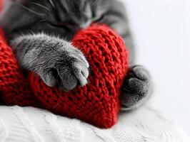 ai généré une duveteux noir chaton câlins une rouge fil cœur, une parfait illustration de l'amour pour animaux domestiques sur la Saint-Valentin journée photo