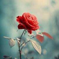 ai généré une rouge Rose dans plein Floraison contre doux bleu Contexte. génératif ai. photo