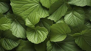 ai généré Frais vert feuilles la nature Contexte. Haut voir. photo