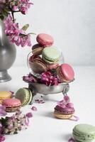 printemps encore la vie avec coloré macarons et rose Pomme arbre fleurs dans une étain photo