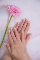 mains de une femme avec imparfait manucure avec avec rose gel polonais et gerbera photo