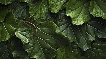 ai généré Frais vert feuilles la nature Contexte. Haut voir. photo