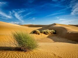 le sable dunes dans désert photo