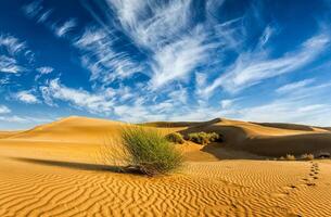 le sable dunes dans désert photo