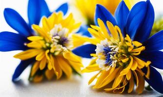 bouquet de bleu et Jaune fleurs sur une blanc Contexte. photo