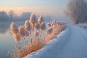 ai généré serein hiver paysage photo