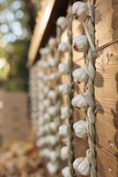 Frais fait maison non pelé Ail pendaison de Les agriculteurs marché comptoir, localement grandi Naturel produire. en bois juste cabine ou kiosque avec Frais biologique bio ferme des produits à l'automne Commerce équitable. proche en haut. photo