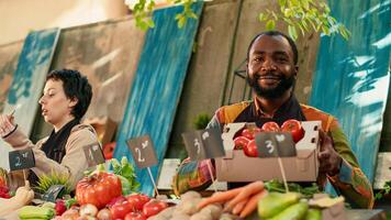 africain américain agriculteur en présentant boîte de tomates sur caméra, montrant Naturel localement grandi produire à consommateurs. Masculin affaires propriétaire en portant coloré bio des produits. ordinateur de poche tir. photo