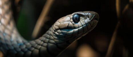 ai généré extrême proche en haut de noir mamba serpent tête photo