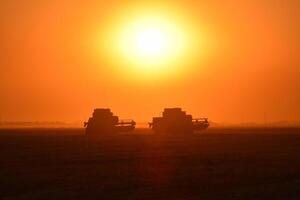 récolte par combine à le coucher du soleil. photo